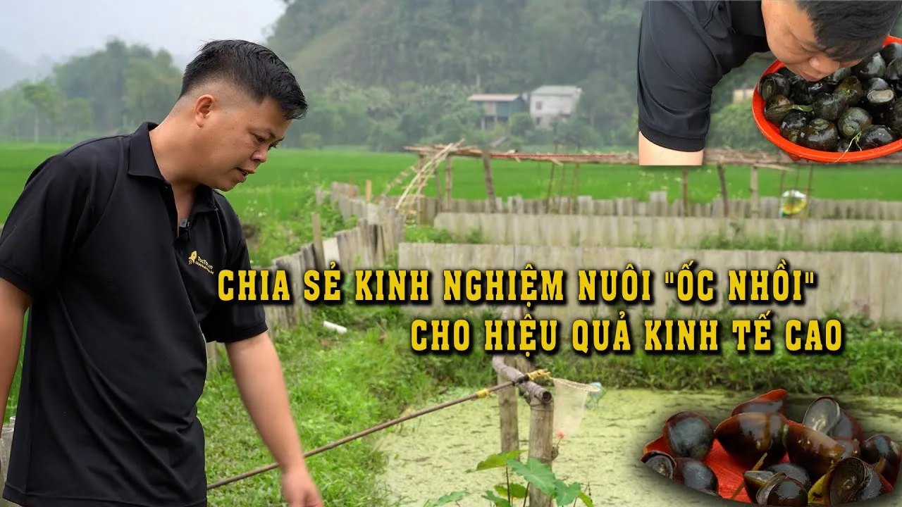 Môi trường văn minh và kỷ luật là yếu tố cốt lõi của Group Ốc VN