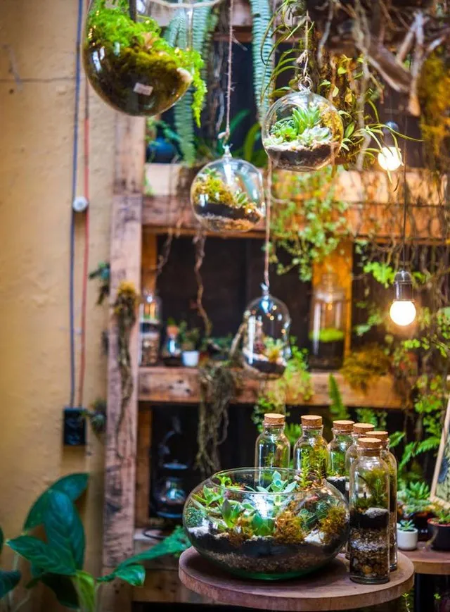 Không gian trưng bày đẳng cấp và xanh mát tại Triển Lãm HN 2026 Terrarium Quốc Tế