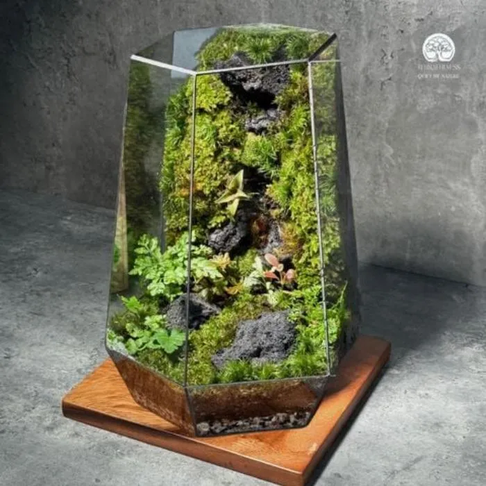 Sự hiện diện của thiên nhiên thu nhỏ giúp giải tỏa căng thẳng và thanh lọc tâm hồn