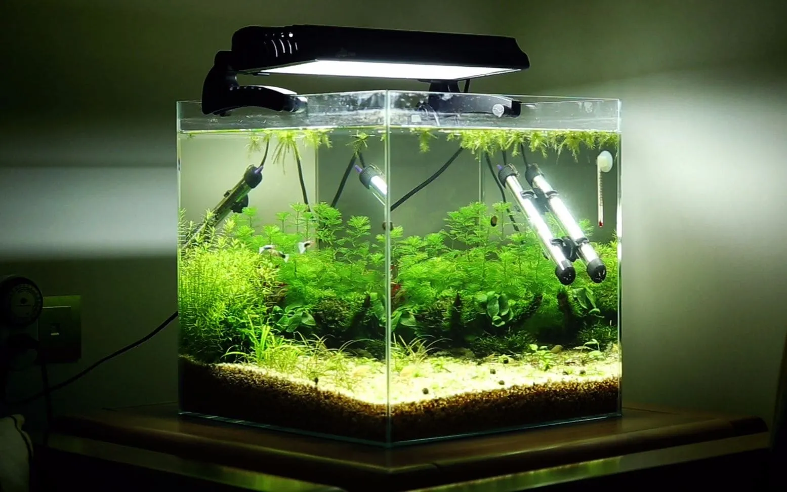 set-up-fish-tank Hệ thống lọc và ánh sáng chuyên dụng cho bể cá cảnh thủy sinh
