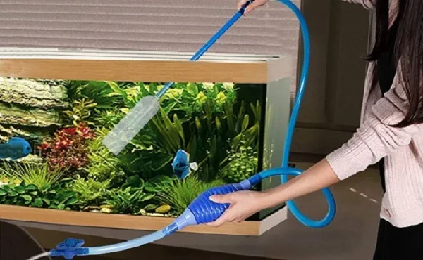 Quản lý chế độ dinh dưỡng hợp lý giúp duy trì trạng thái ổn định sau khi tách nhóm