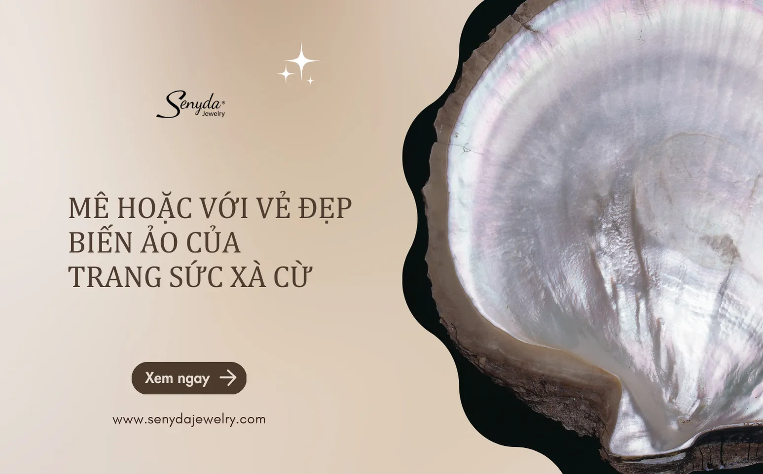 Hướng dẫn vệ sinh vỏ ốc xà cừ Pearl White đúng cách để giữ độ sáng bóng lâu dài