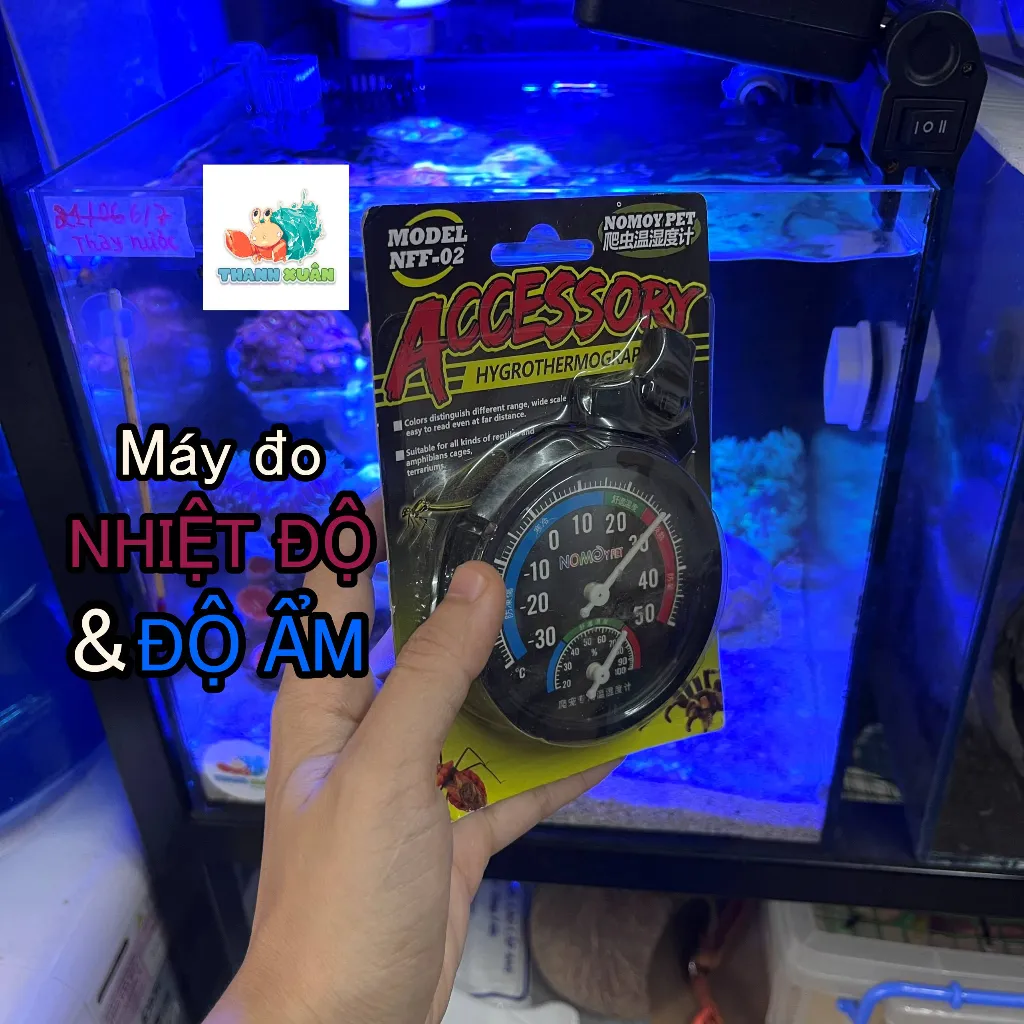 Duy trì nhiệt độ và độ ẩm chuẩn là yếu tố then chốt giúp ốc mượn hồn phát triển khỏe mạnh